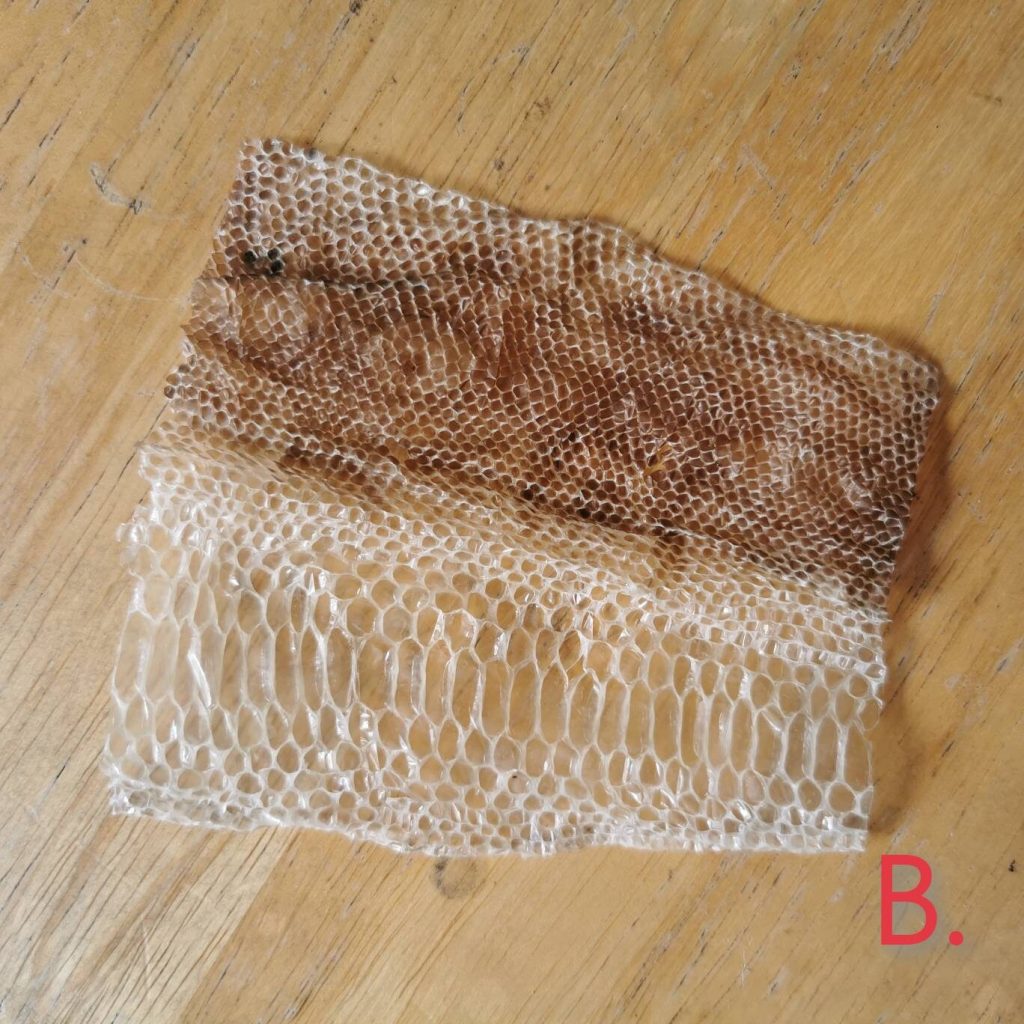 il fullxfull.2995516978 838u (1)